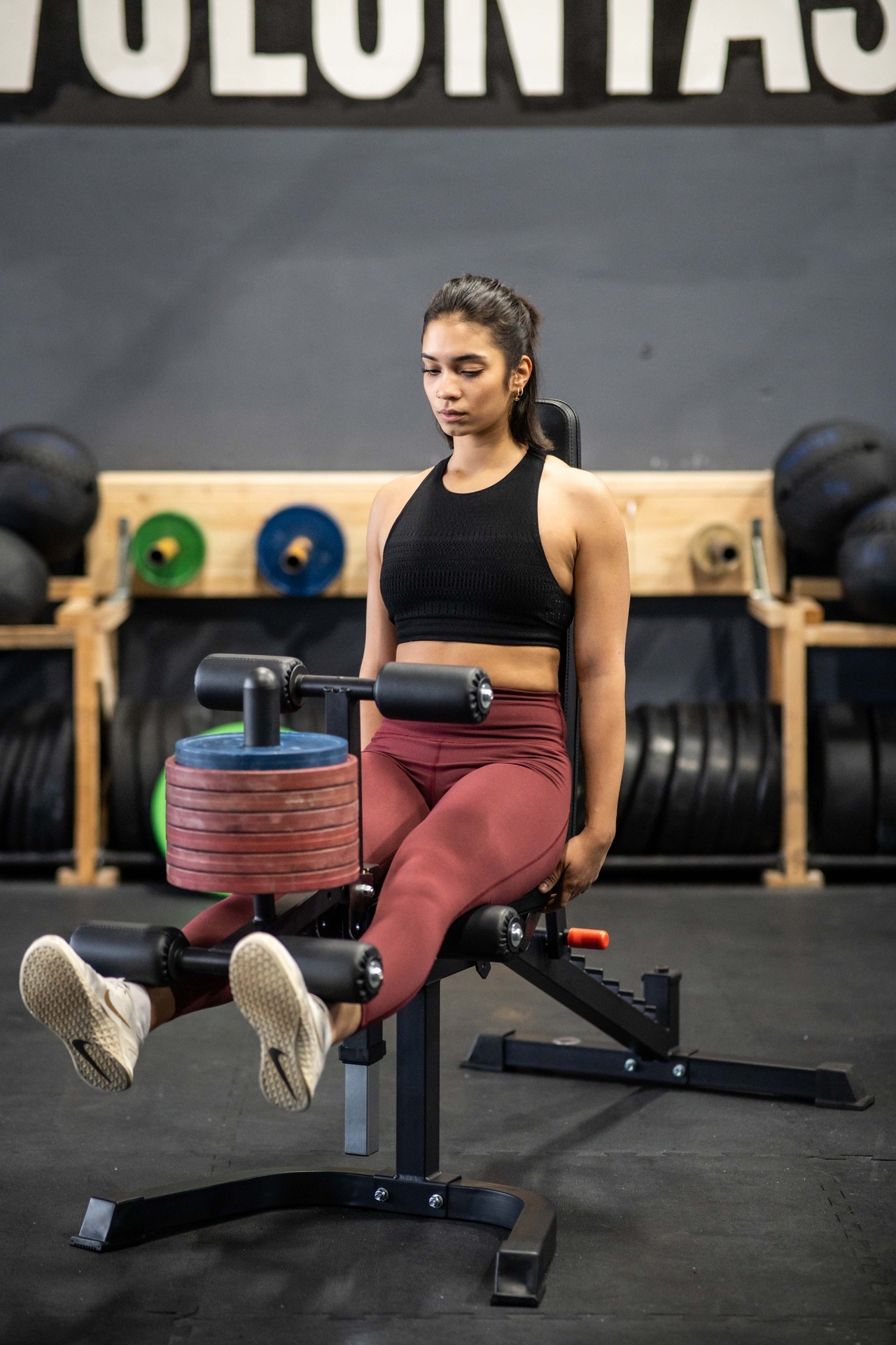 Beincurler SQMIZE® FID5i-LC für Hantelbank FID5i ELITE