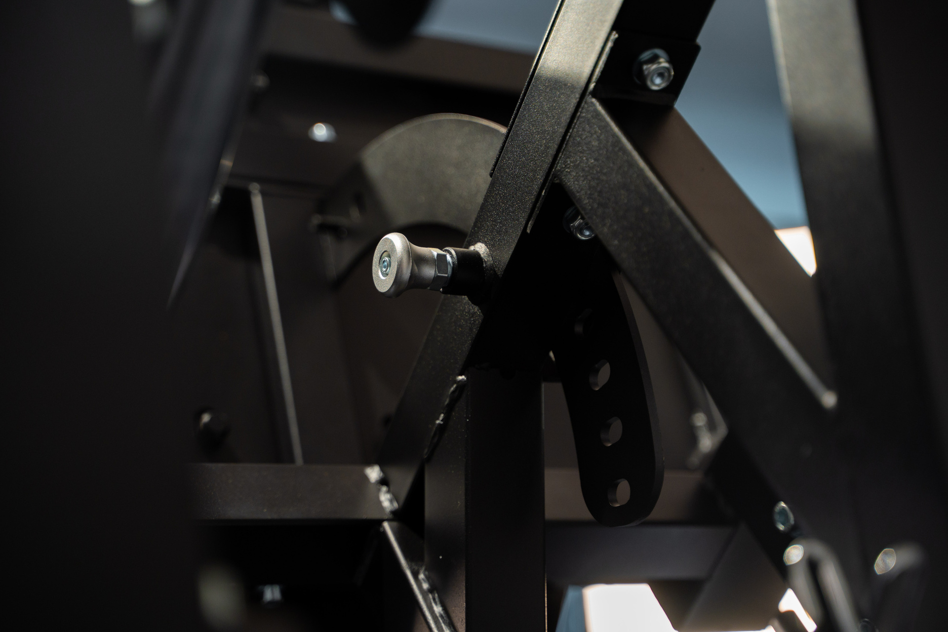 Beinpresse & Hackenschmidt SQMIZE® PREMIUM BISON LPH16i