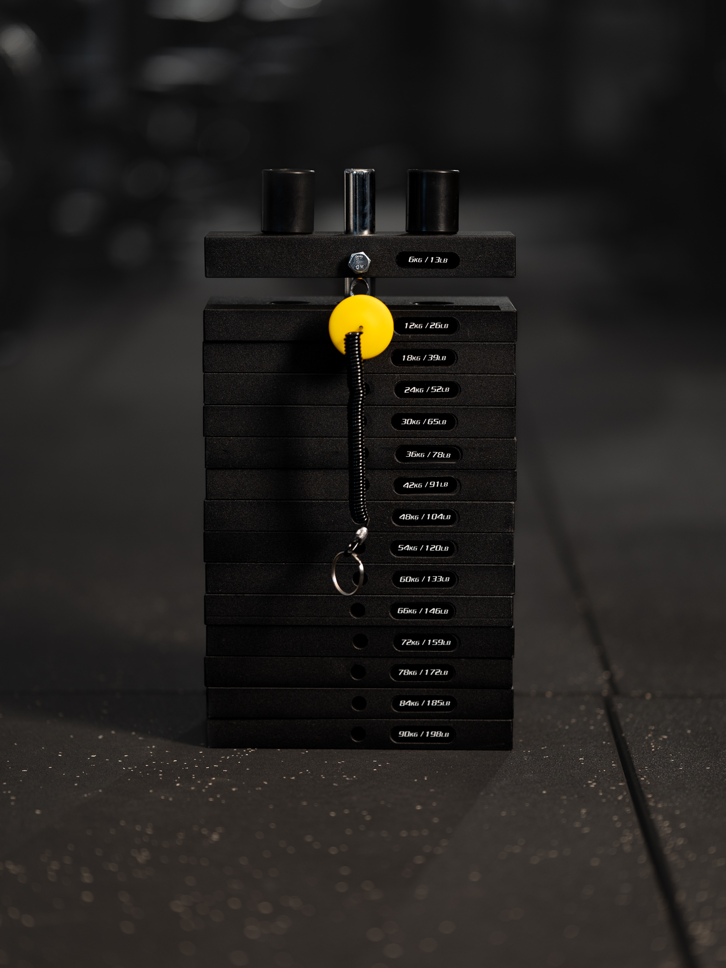Weight Stack Latstation SQMIZE® R741LAW-90 XT Professional, 90 kg