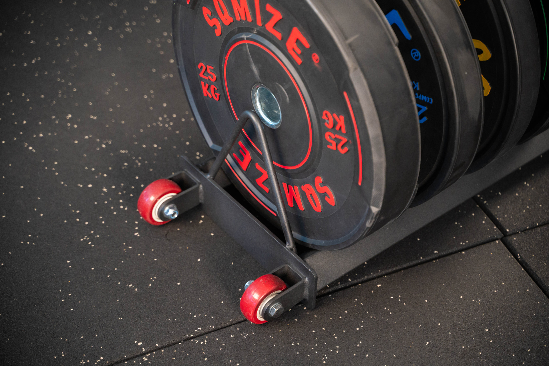 Profi Bumper Plate Ständer SQMIZE® BPR120