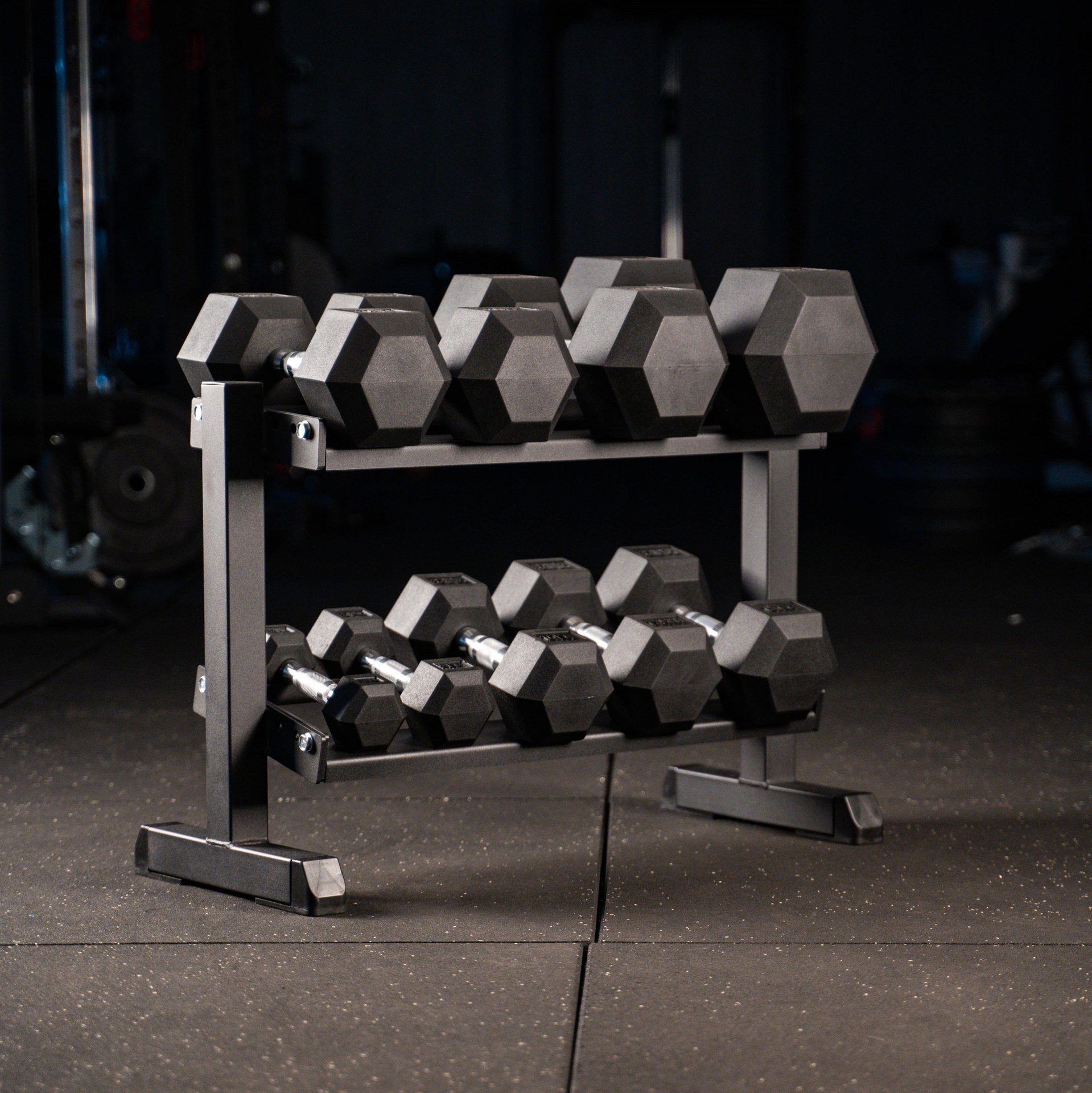 Hex Dumbbell Set mit Kurzhantelständer SQMIZE® SQ210-R100