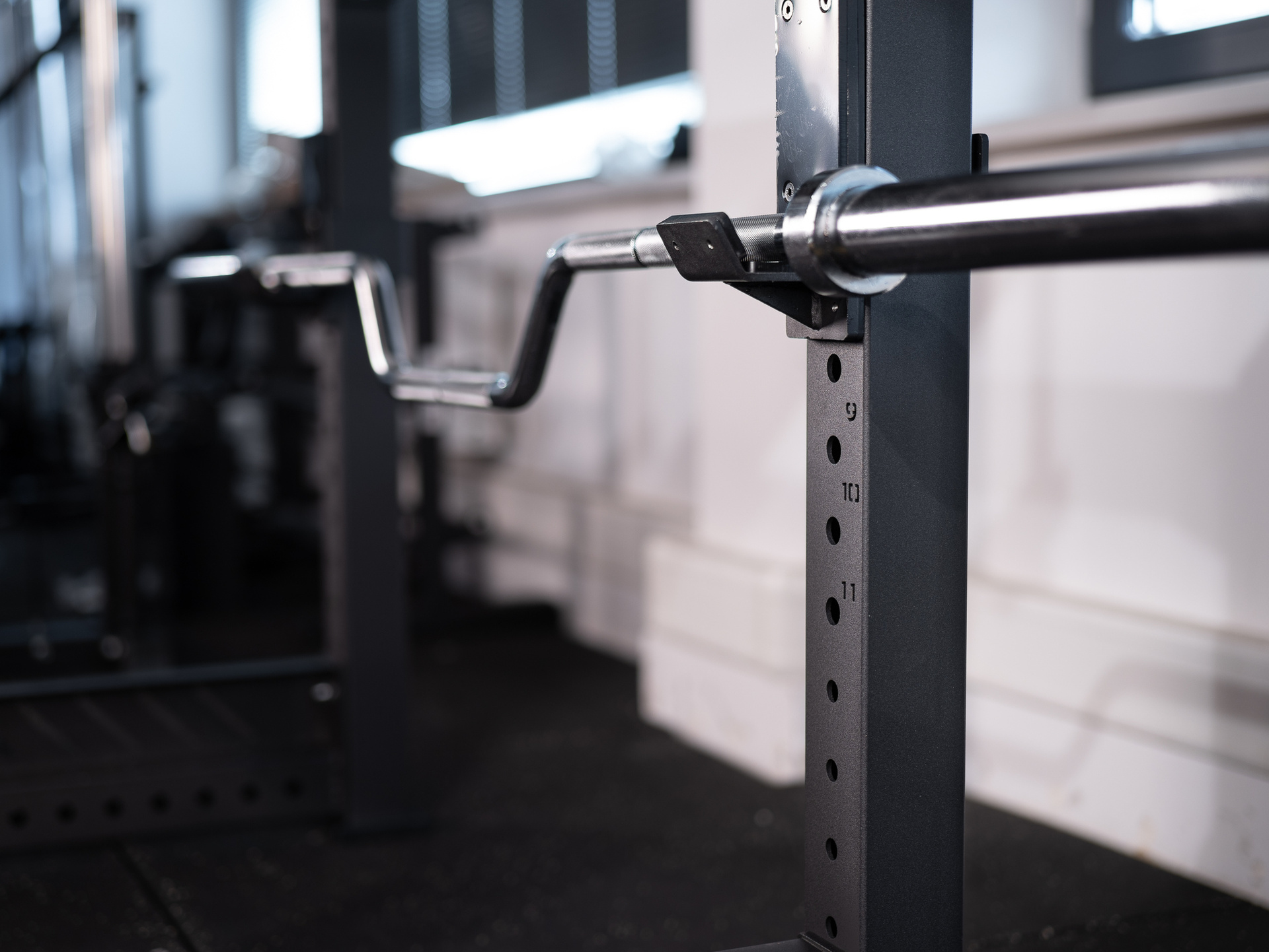 Reverse Hyper & Seal Row Station SQMIZE® ELITE CLUB SQ-R968