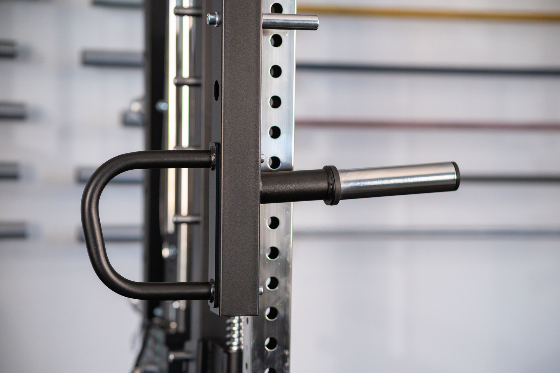 Monster Power Gym Lever Arms SQMIZE® SQ-S991-LE