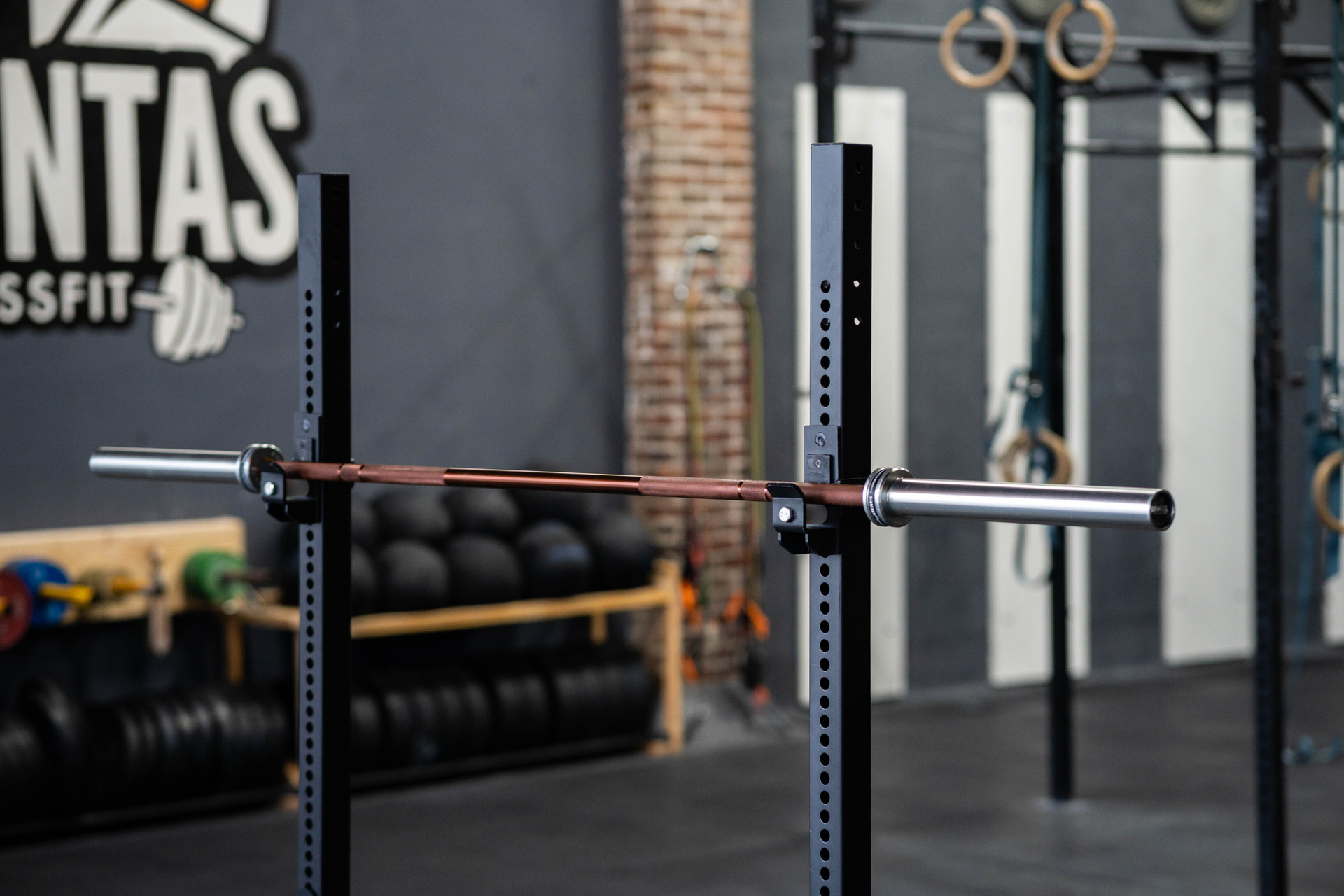 Wild Bison Bar - 20kg Crosslifting® SQMIZE® ELITE CLUB OB86CRm-S