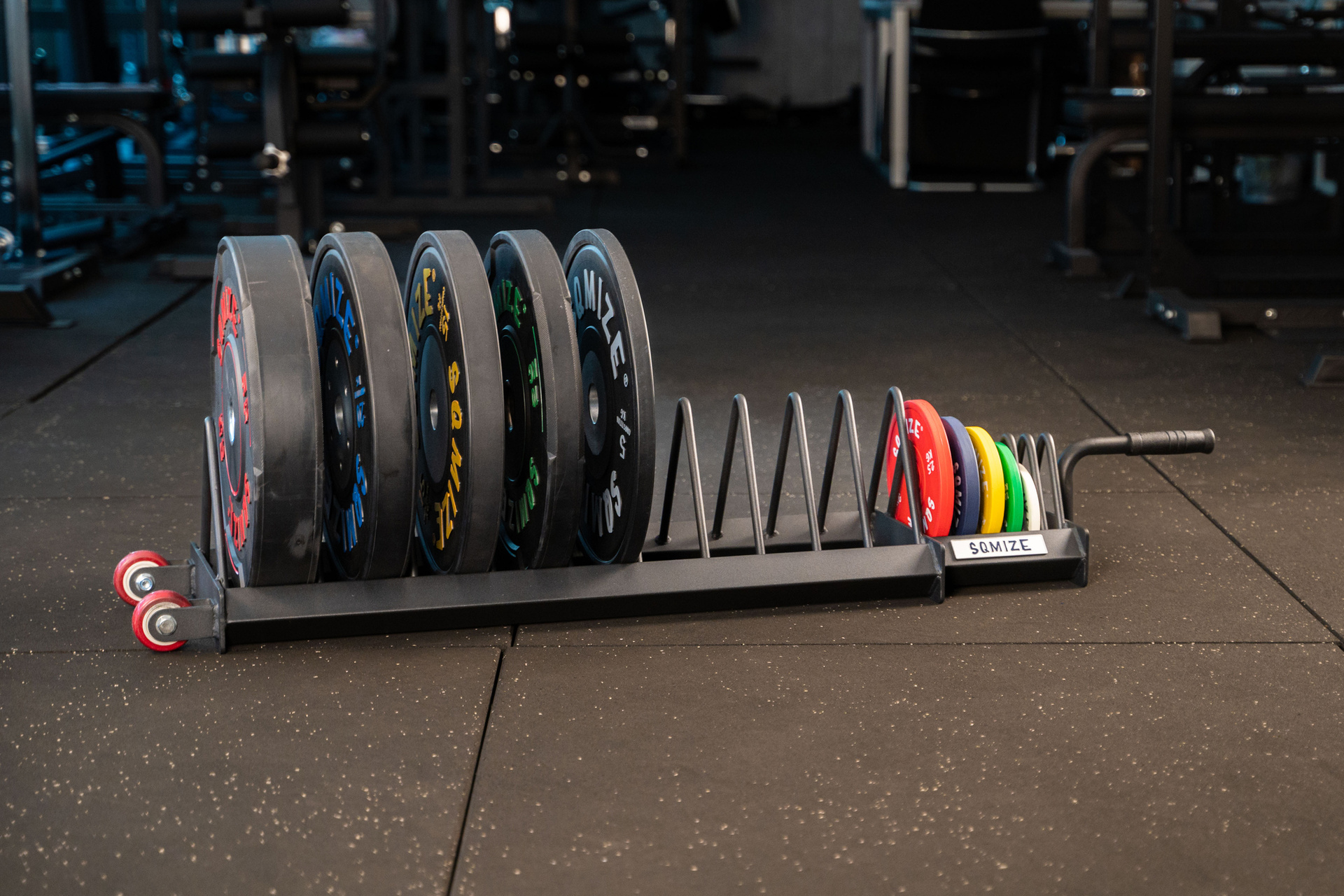 Profi Bumper Plate Ständer SQMIZE® BPR120