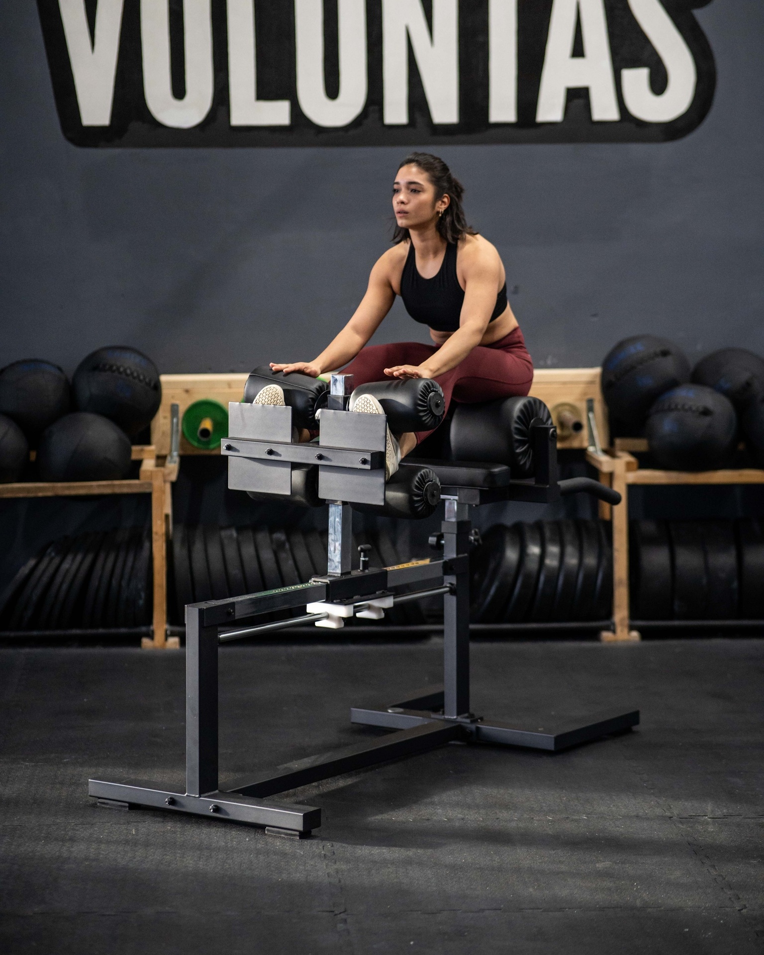 Glute Ham Developer SQMIZE® ELITE CLUB SQ-G1100