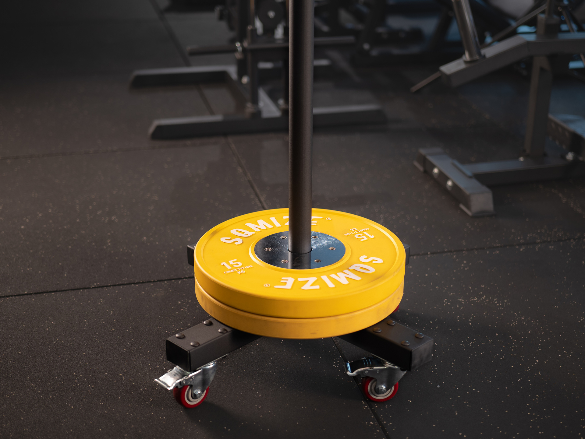 Plate Tower SQMIZE® BS400, 50 mm Hantelscheiben-Trolley